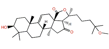 Holotoxinogenin 25-methyl ether